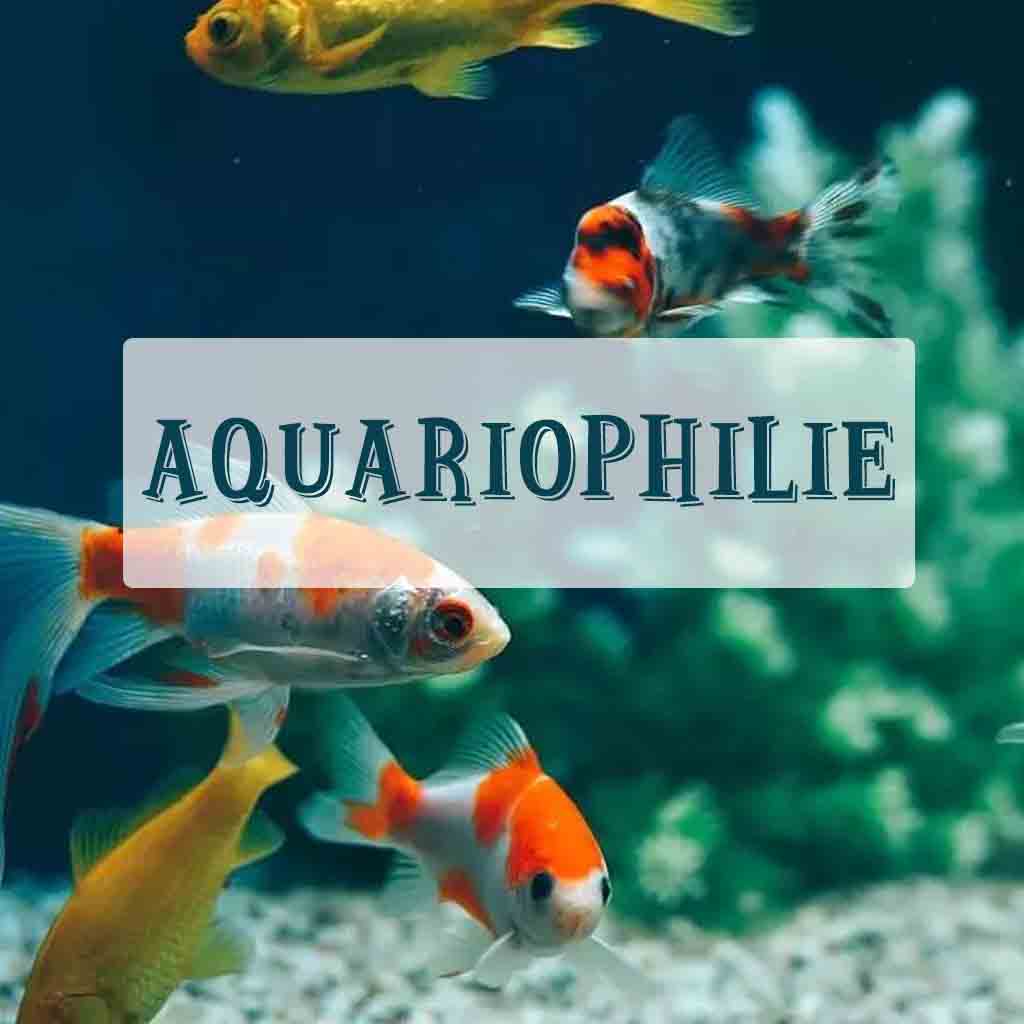 aquariophilie
